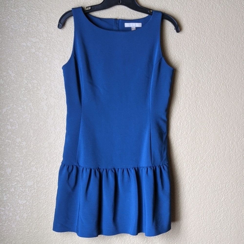 Banana Republic Drop Waist Tulum Flirt Dress Sz 4p